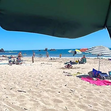 Apartmán Piscine Mediterranee Le Cap D'agde Parking Et 2 Plages A 250 Metres